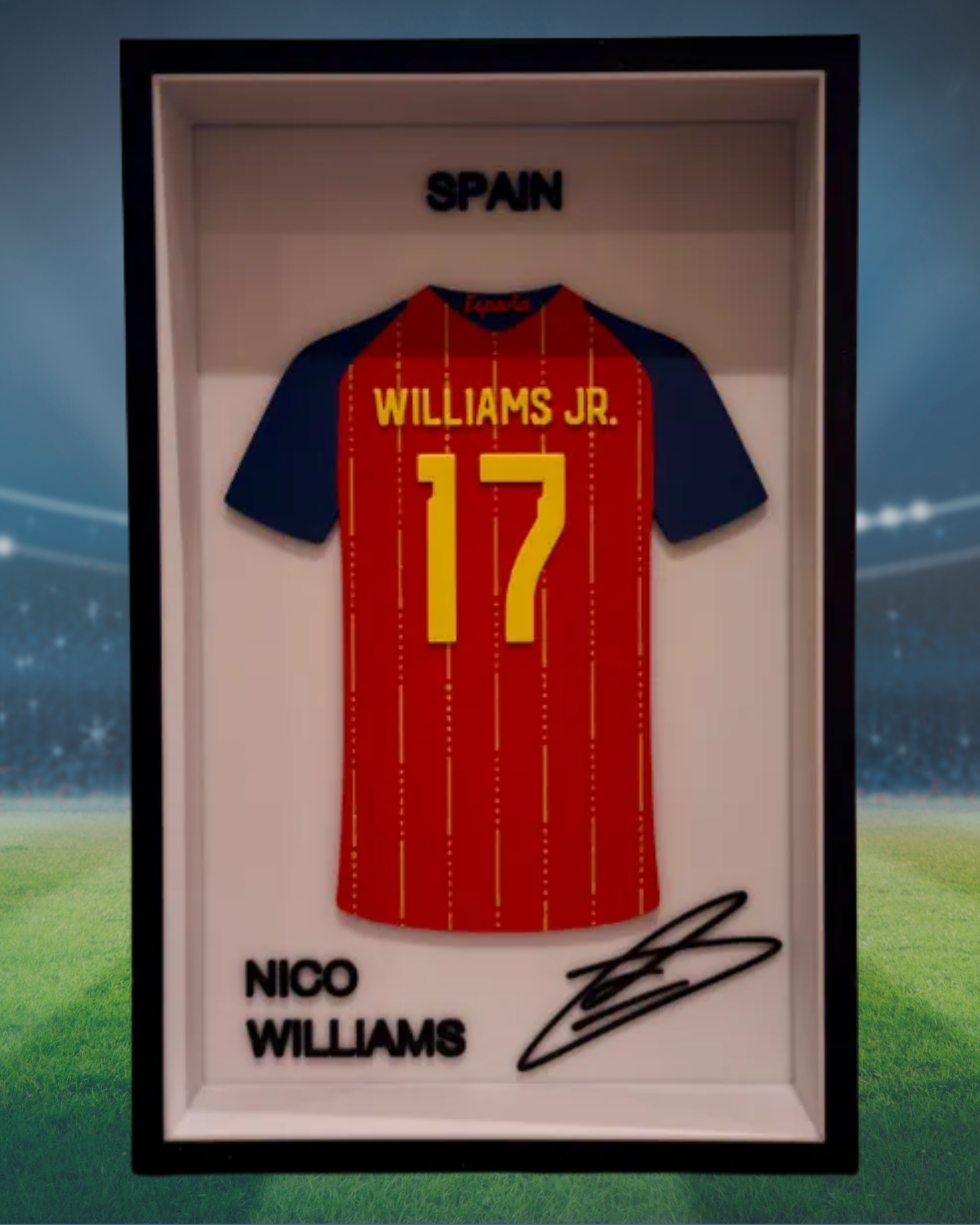 CUADROS CAMISETAS SELECCIÓN ESPAÑA