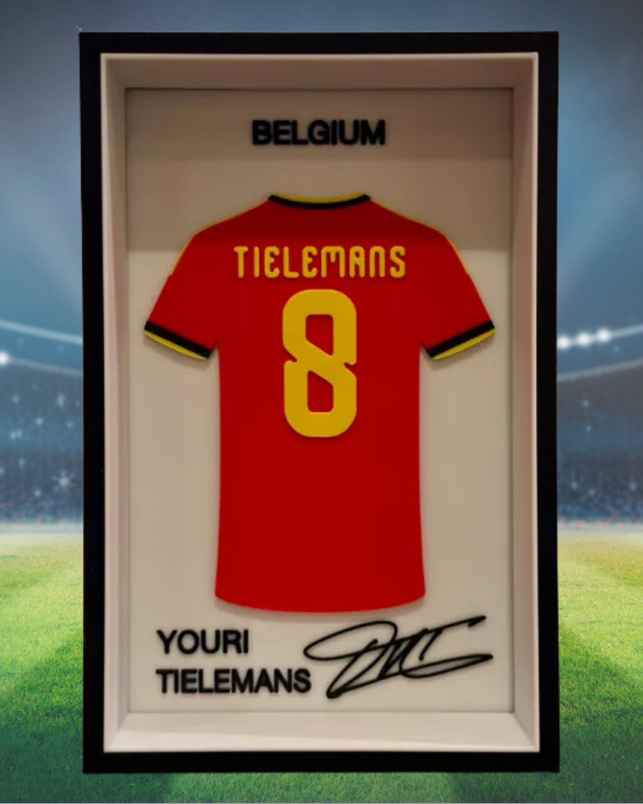 CUADROS CAMISETAS SELECCIÓN BELGICA